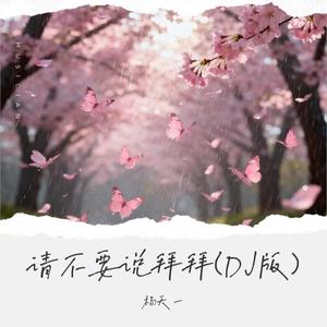 请不要说拜拜 (DJ版)