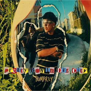 Pretty Boy In Diz City