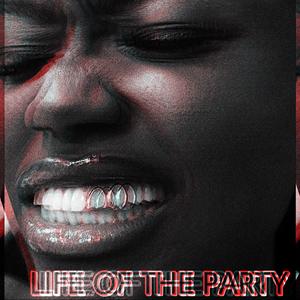 Life Of The Party (Explicit)