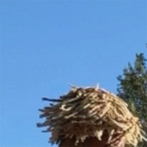 Moon Eater (feat. Chuck Mallard) (Explicit)
