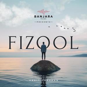 Fizool (feat. Ankit Chauhan & Rishi Dabal)