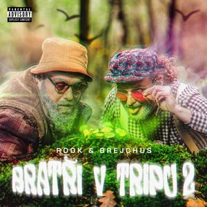 Bratři v tripu 2 (Explicit)