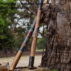 Midnight Tribal Meditation Didgeridoo Music