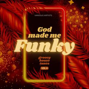 God Made Me Funky (Groovy House Tunes) , Vol. 4 [Explicit]