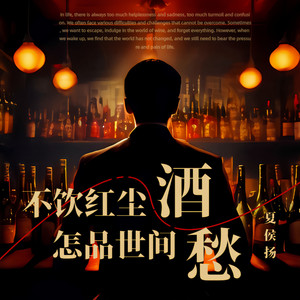 不饮红尘酒怎品世间愁 (DJ版)