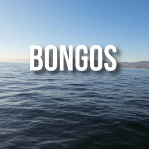 Bongos (Explicit)