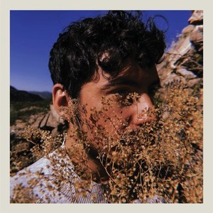 Pregunta no.2: Cóndor