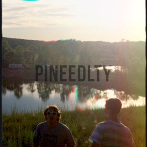 Pineedlty