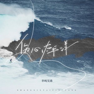 伤心太平洋车载DJ版封面