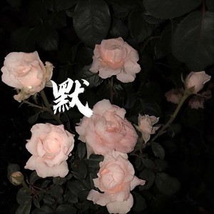 那英-默remix (醉里星河 / 姜尹 remix)