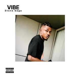 VIBE (feat. 9geez)