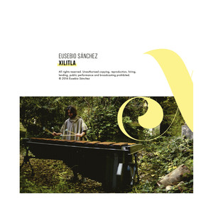 Tlapitzalli II (Hilda Paredes, Flute - Emma Halnan)