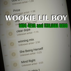 Wookie Lil Boy (Explicit)