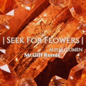 Seek For Flowers (MrGift Remix)