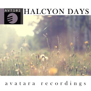 Halcyon Days (气候平稳时期)