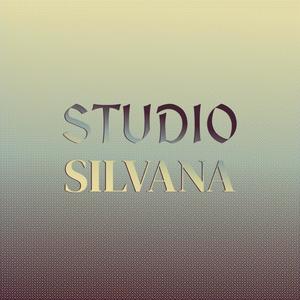 Studio Silvana