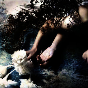 In The Sea (在海里)