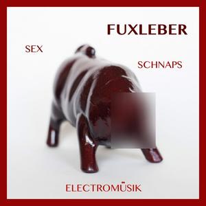 Sex. Schnaps, Elektromüsik