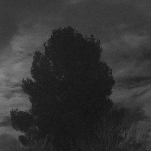 Heart Or Head(feat. ricxy) (Explicit)