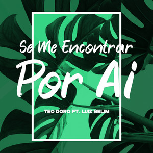 Se Me Encontrar Por Ai(feat. Luiz Belim)
