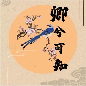 没有了