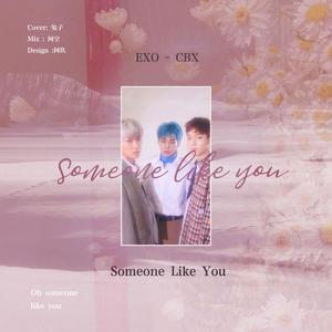 Someone Like You