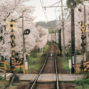 wondering (Explicit)