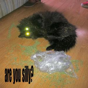 silly squad (feat. lungskull, Skkipyyy & so so) (Explicit)