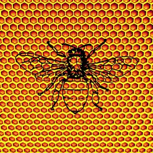 Huney Bee (Explicit)