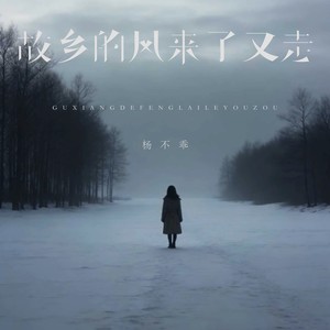 故乡的风来了又走