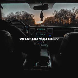 What Do You See?