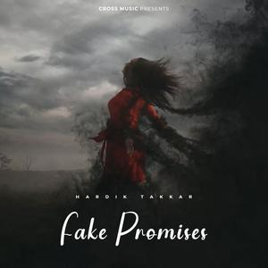 Fake Promises