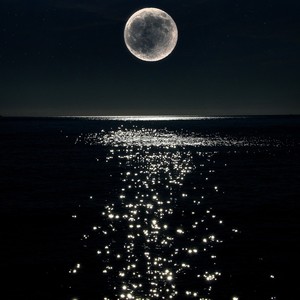 小月光 (英文版)