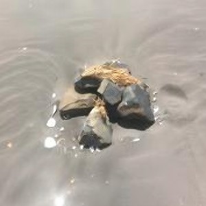 Amygdala (feat. Intersekt)