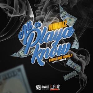 All A Playa Know (feat. Ravaa & Swinla) (Explicit)