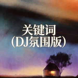关键词 (DJ氛围版) - DJ九局封面