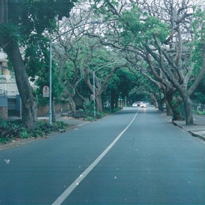 Shipwrecks(feat. Guy Buttery)