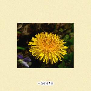 flaunt (feat. nvcnee & juniasule) (Explicit)