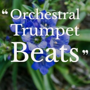 Orchestral Trumpet Beats