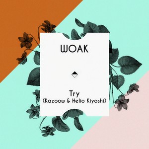Try (Kazoow & Helio Kiyoshi) (Kazoow & Helio Kiyoshi Remix)