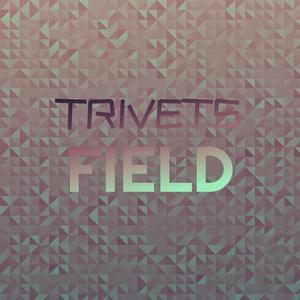 Trivets Field