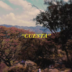 Cuesta