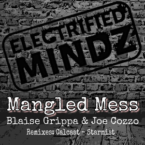 Mangled Mess (Original Mix)