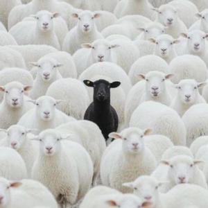 Power. (feat. Da Reporter & NiKOTiN) (Explicit)