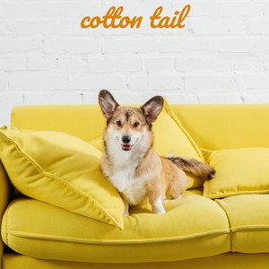 Everybody Wants to Fall In Love