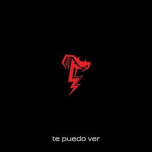 Te Puedo Ver