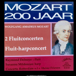 Concert voor fluit