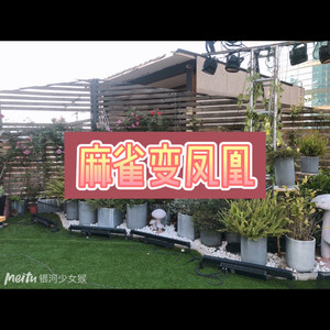士大 - 红玫瑰 (奢华版)