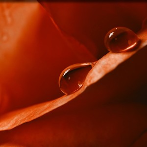 Seventies (Explicit)