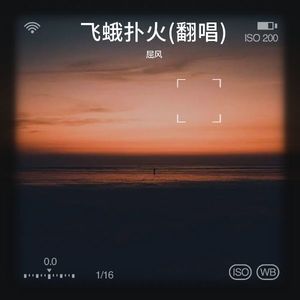 飞蛾扑火